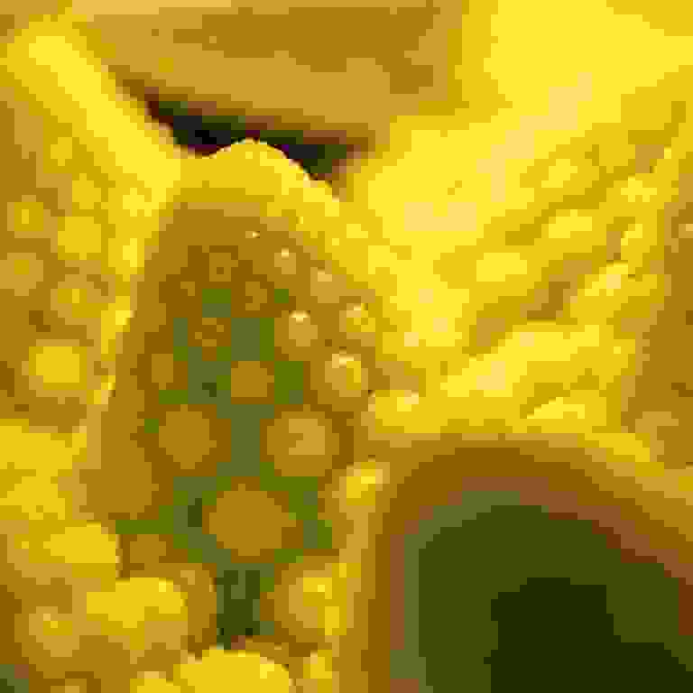 Romanesco broccoli closeup, JPEG, quality level 0, basically a 48-by-48-pixel, 16-color image but with very big pixels, unrecognizable.